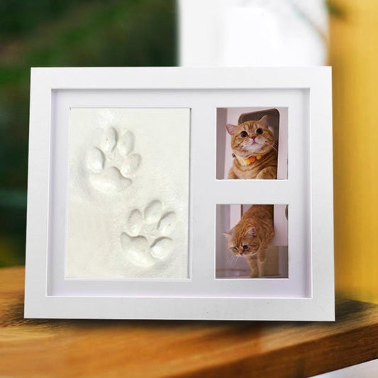 Display Frame